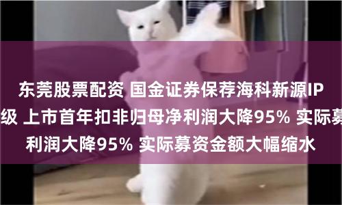 东莞股票配资 国金证券保荐海科新源IPO项目质量评级C级 上市首年扣非归母净利润大降95% 实际募资金额大幅缩水