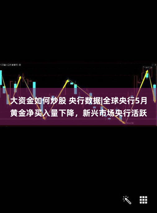 大资金如何炒股 央行数据|全球央行5月黄金净买入量下降，新兴市场央行活跃