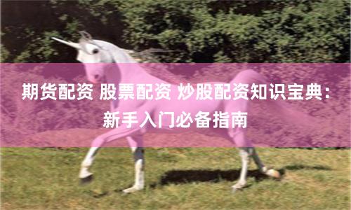 期货配资 股票配资 炒股配资知识宝典：新手入门必备指南