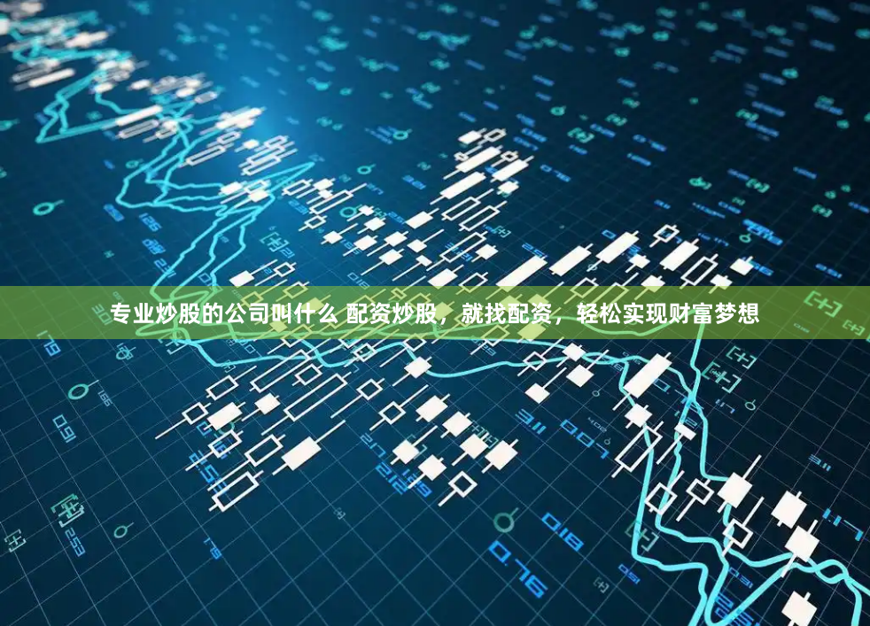 专业炒股的公司叫什么 配资炒股，就找配资，轻松实现财富梦想